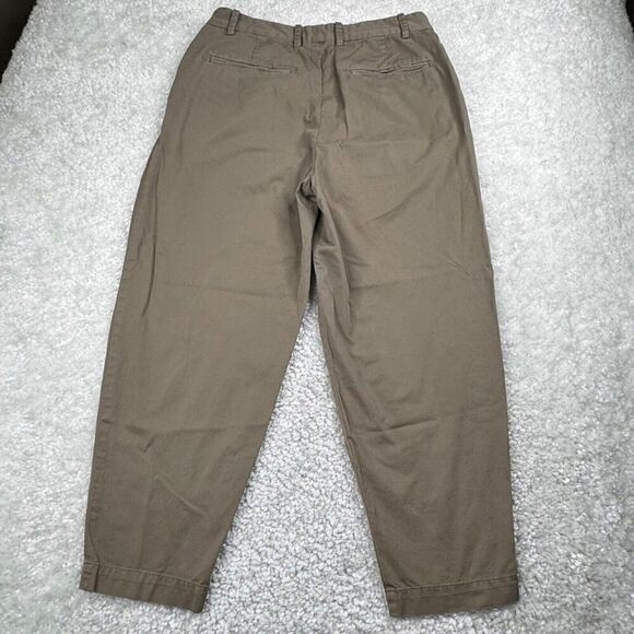 Everlane Slouchy Chino Pleated Pant Brown - Picture 2 of 11